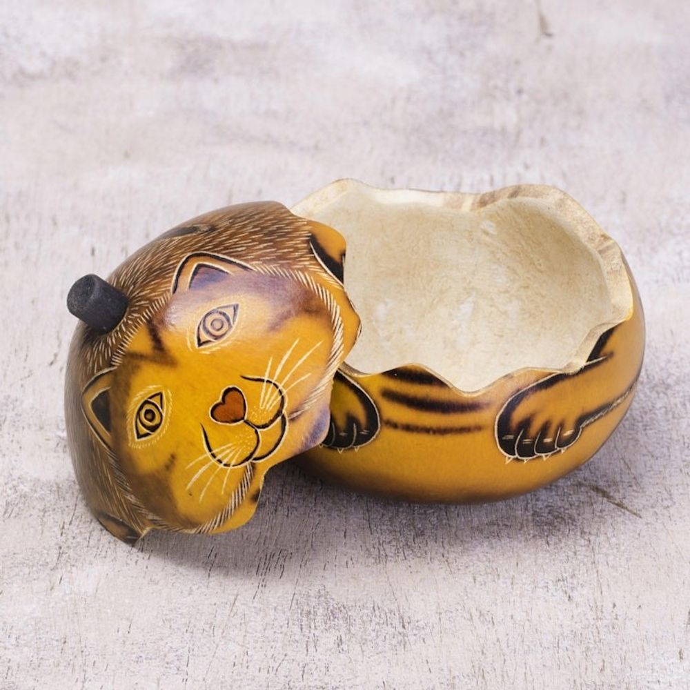 Andean Artisan Crafted Dried Mate Gourd Cat Box 'Andean Feline'