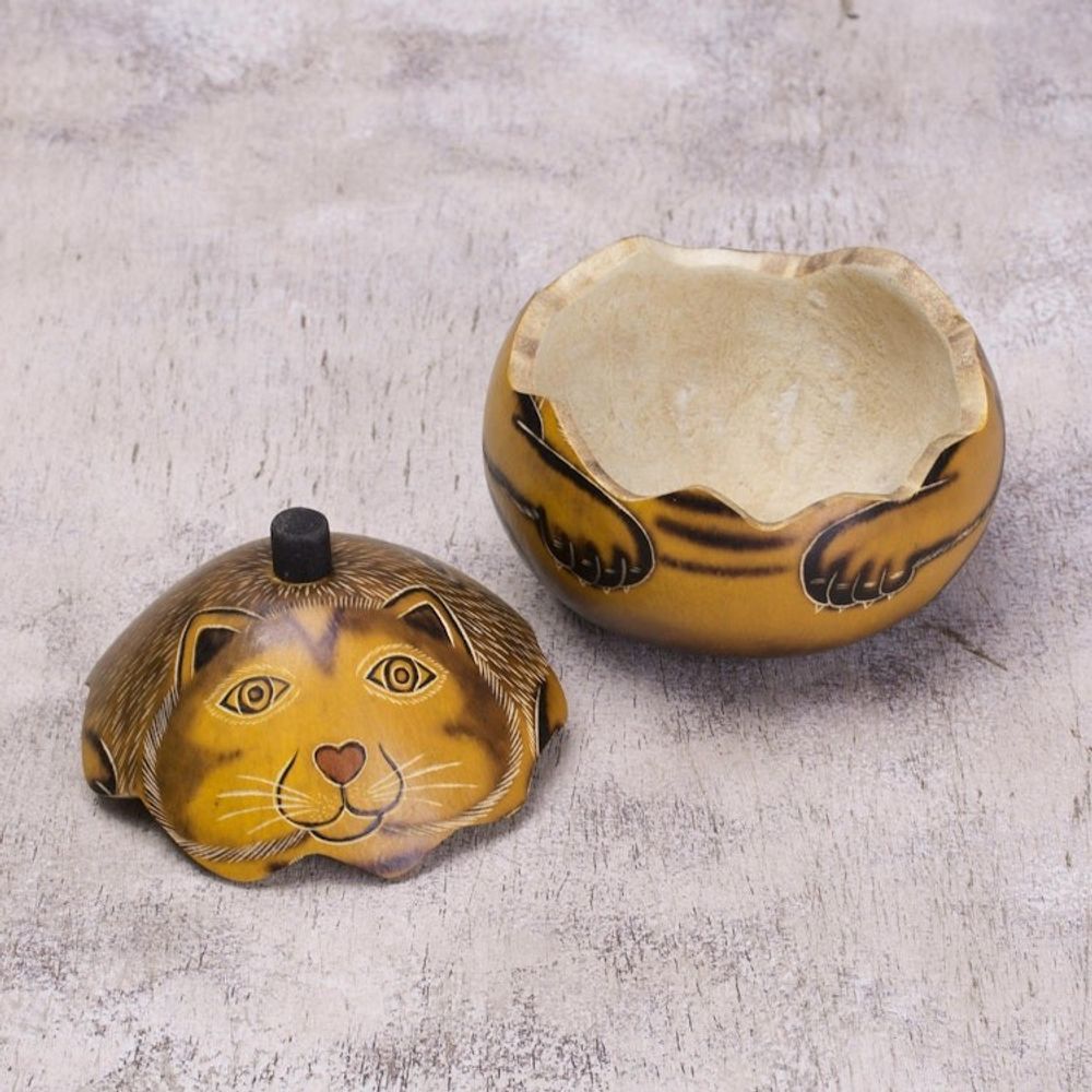 Andean Artisan Crafted Dried Mate Gourd Cat Box 'Andean Feline'